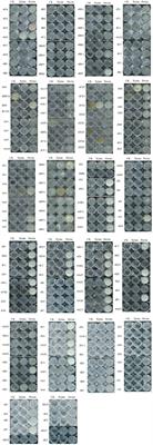 Plant Polysaccharides Modulate Biofilm Formation and Insecticidal Activities of Bacillus thuringiensis Strains